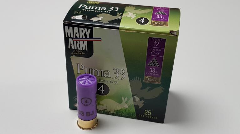 mary arm puma 33